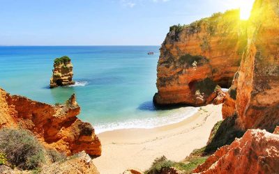 Killer whales gespot