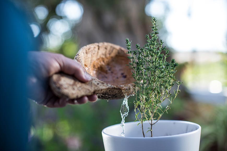 Ombria-schelp-plant-water-870×580 Ombria resort duurzame visie