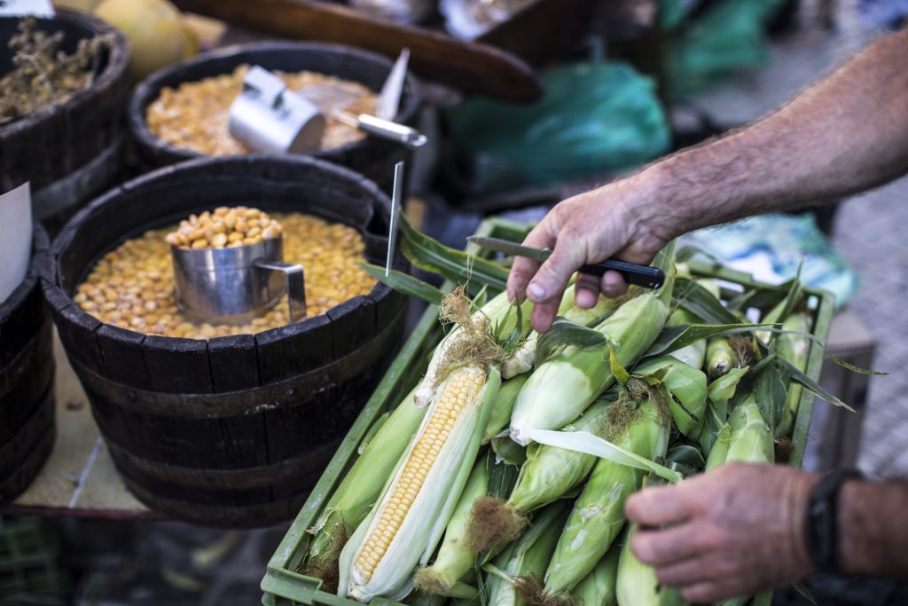 Bezienswaardigheden en activiteiten in de Algarve