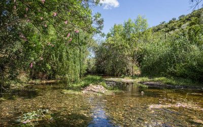 Duurzaam investeren in Portugal