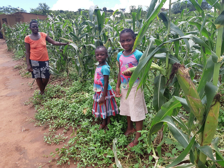 Stichting HomePlan Zuid-Afrika moestuin
