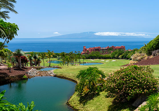 White Shell appartementen villa Algarve