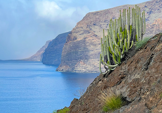 Tenerife