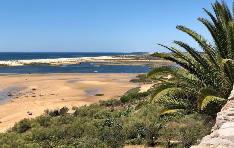 Ontwerp zonder titel (83)